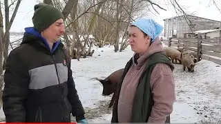 Туровская яжеНемать/высокие отношения/к ним приехал, к ним приехал дядя Саша дорогой😜