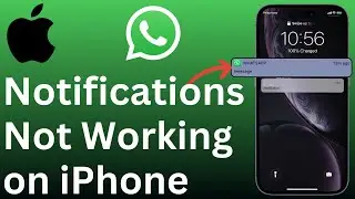[FIXED] WhatsApp Notifications Not Showing or Working on iPhone (Unless I Open App)