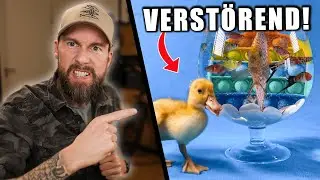 Das ist ein Skandal! - Tiere für YouTube missbraucht... | Robert Marc Lehmann