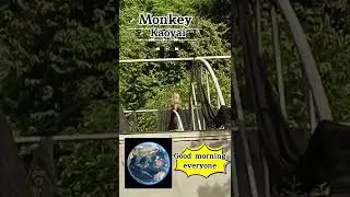 Monkey Kaoyai อุดมสมบูรณ์
