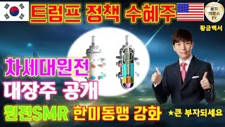 원전SMR, 글로벌 시장을 향한 한미동맹! 트럼프 시대 대장주 대공개 [황금백서]