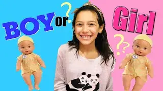 Gender Reveal Boy or Girl!