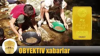 Oltin qazuvchilar qo'lga olindi @ Buxoro va Navoiy kun yangiliklari
