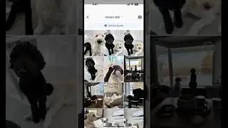 Facebook mobile: How to add alt text