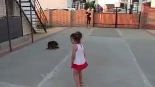 Ева встретила собаку