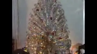 THE CHRISTMAS VIDEO