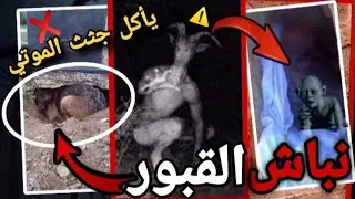الكائن المرعب نباش القبور  | الحيوان الذي يأكل جثث الموتي من المقابر Very scary animal 😱