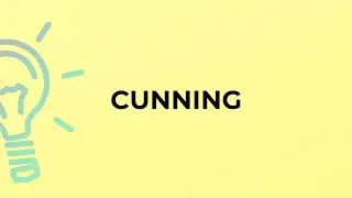 What is the meaning of the word CUNNING?