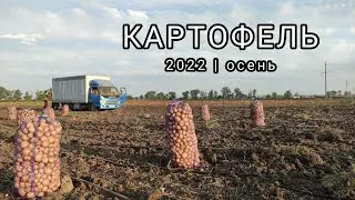 Начали убирать с поля осенний картофель.