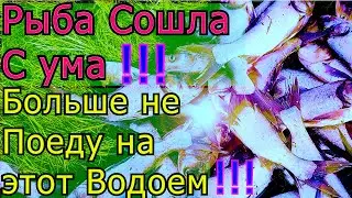 БОЛЬШЕ НЕ ПОЕДУ НА ЭТОТ ВОДОЕМ !!!