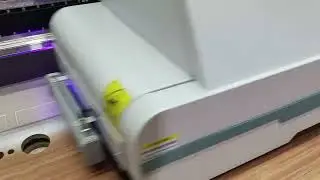 Mdf Kapı UV Baskı
