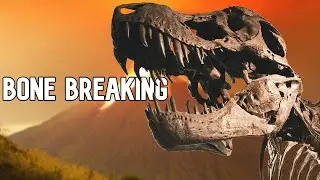 How Do We Know The Power Behind A Dinosaur's Bite?