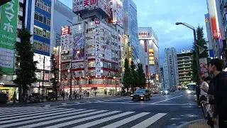 Akihabara; It Lives!