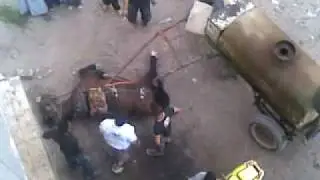 лошадь бензавоз