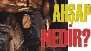 Ahşap Nedir? 👷 👷‍♂ 👷‍♀ 🏗 🚧