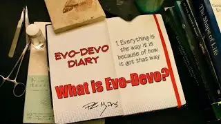 Evo Devo Diary-What is Evo Devo?