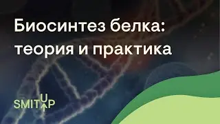 Биосинтез белка: теория и практика | Биология с Мишей Гис | ЕГЭ 2023 | SMITUP