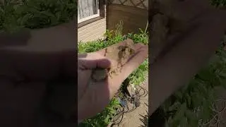 Промывка скважины  Казань