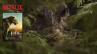 Life on Our Planet - "The Rules of Life", T-Rex (E1) | Netflix