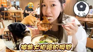 When I Tried Sharing Pork Chop with a Shiba Inu, I Never Expected THIS to Happen!與柴犬共吃排骨被拒…