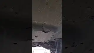 Когда съездил в Горный Алтай на Лисяне🤣