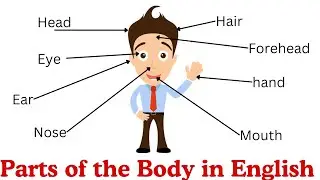 Parts of the Body in English | Human Body Parts Names | Learn English Vocabulary |#partsofthebody