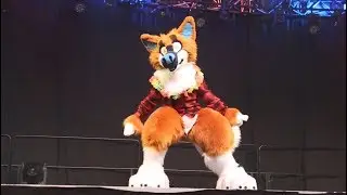 Raymond the Chowba - AC 2019 Fursuit Dance Comp
