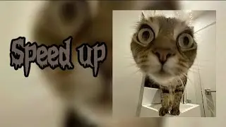 ~xmanera - Манера крутит мир {speed up}~🎧💋