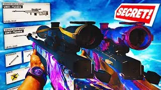 How to get DOUBLE SNIPERS in Black Ops Cold War (Double Sniper Glitch Class Tutorial)
