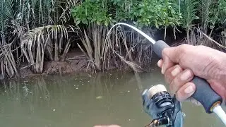 Fishing Luck Never Goes Anywhere