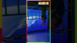 Même pas peur ! 🙈 | Kidibli 