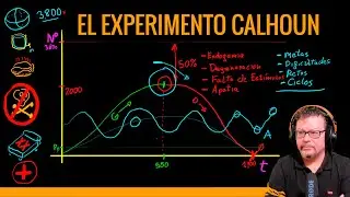 🐁 THE CALHOUN EXPERIMENT