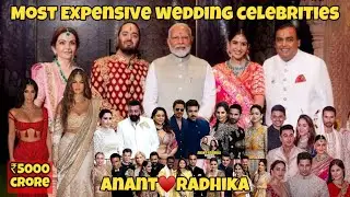 Celebrities at Anant Ambani & Radhika Merchant Wedding