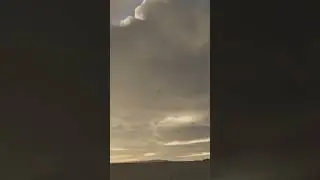 F-16 vs F-22 vs F-35 vs F-16 MSFS FLYBY