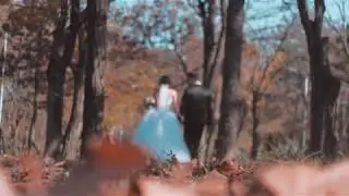 Alex & Ana Wedding Film