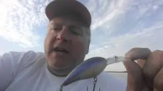Fall Fishing Bill Norman Lures