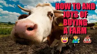 Land of Opportunity: Your Ultimate Guide to Buying Farm and Ranch Properties 🌾🏡