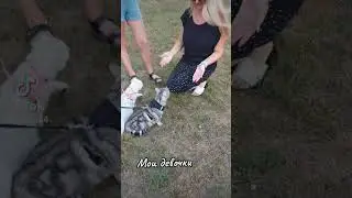 Роза и Мия #шотландские