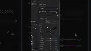 Premiere Pro : High Exposure Video , Try this for Solution