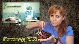 Вопросы судмедэксперту. Часть 1 (перевод РЖЯ)