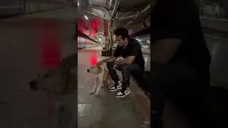 sonu sood ka dog se dosti video