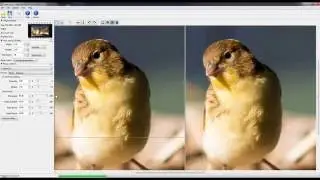 Enlarge or reduce your images in size virtually without loss!