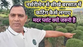 नर्सरीमेन से सीखे, बरसात में कटिंग कैसे लगाए || मदर प्लांट क्यो जरूरी है?