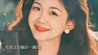 玫瑰已枯萎 - 老罗 (Official Video)