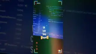 Untitled video