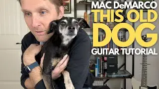 This Old Dog by Mac DeMarco Guitar Tutorial - Guitar Lessons with Stuart!