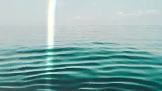 VNEX - Lose