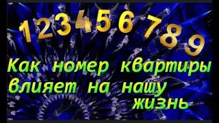 Как номер квартиры влияет на нашу Жизнь!