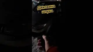Автолюбитель.