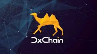 DxChain (Data Service) site overview